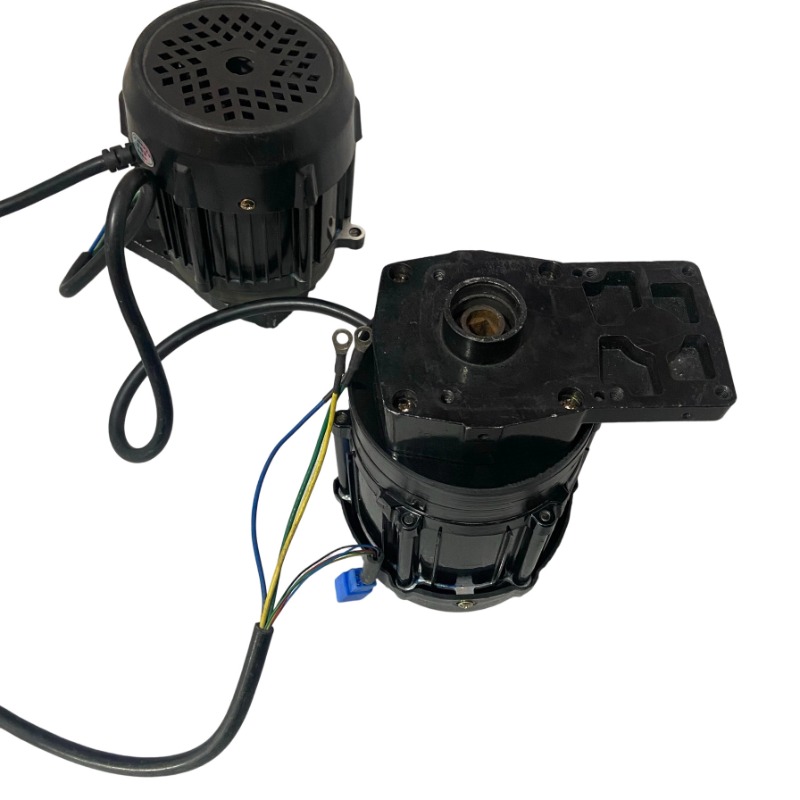 48V 1000/1200/1500W High-Speed - đánh giá và giá Fishing Boat Trolling Motor